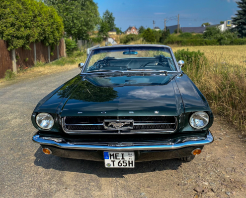 Ford Mustang grün